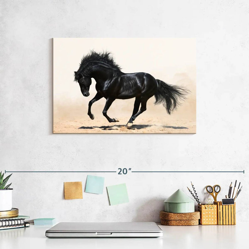 Black Stallion, 8" H x 12" W