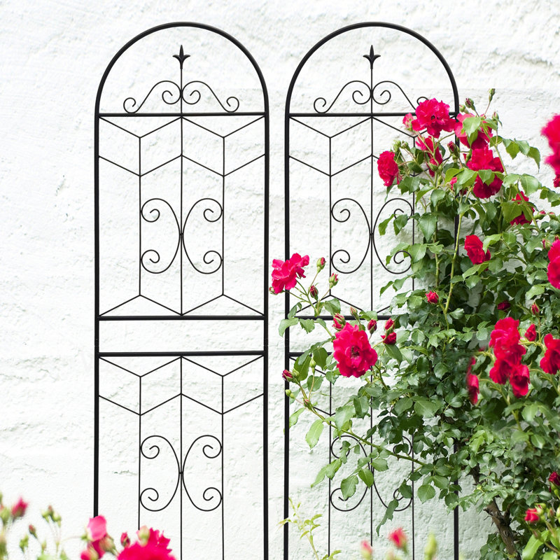 Ensemble de 2 treillis de jardin en métal antirouille de 71 po x 19,7 po, support à fleurs noir pour l'extérieur, assemblage facile, tube galvanisé, polyvalent pour les plantes grimpantes - extérieur, à construire, à des fins diverses et robustes