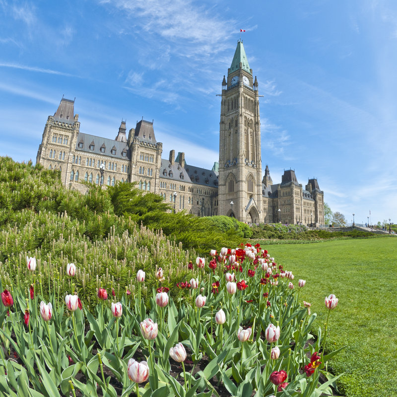 Elsperman, Colline du Parlement, Ottawa par Chiyacat, H 20 po x l 20 po