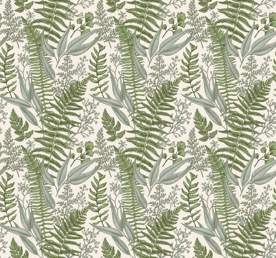 Green Fern Plant HD wallpaper  Peakpx