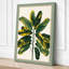 Variegated Specimen Botanical - Wrapped Canvas-131763334-131763339