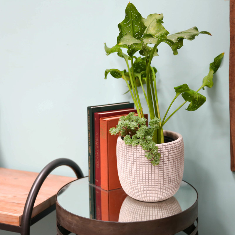Reay Pot Planter, White