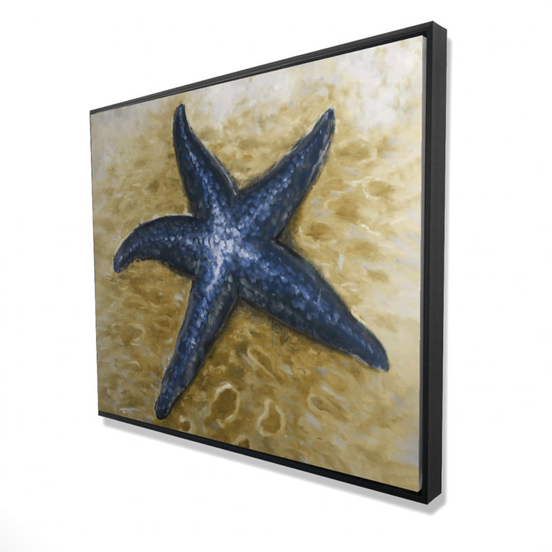 " Beautiful Starfish "