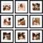 Ensemble de 9 cadres photo 12 x 12, cadres muraux carrés avec photos 8 x 8 avec passe-partout ou 12 x 12 sans passe-partout-124651339