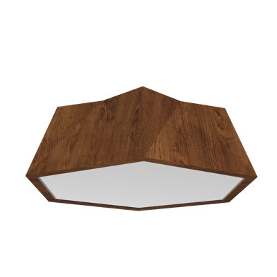 Physalis 1 - Light Flush Mount