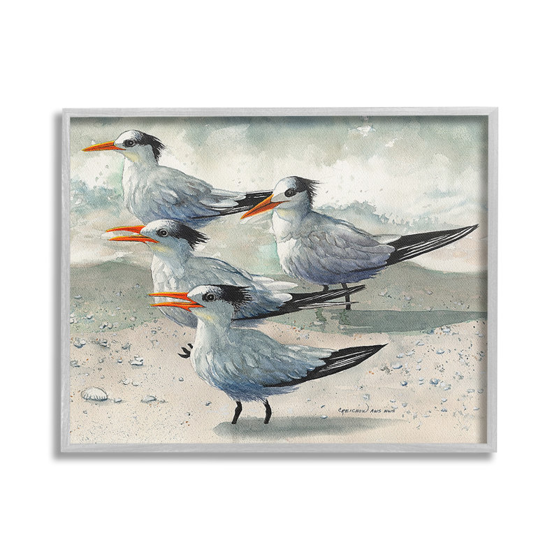Oiseaux de plage chirpant, estampe numérique par Christine Reichow, Giclée encadrée noir minuit, H 24 po x l 30 po