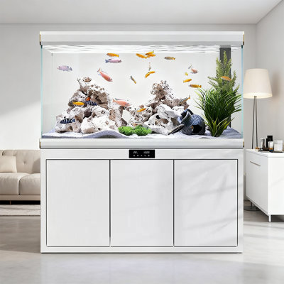 Nordic-Style Glass Arowana Aquarium Tank