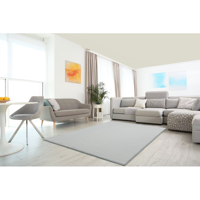 Mashpee Solid Colour Area Rug, Rectangle 200 x 290cm