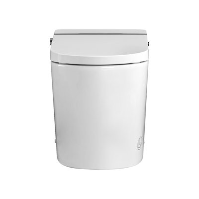 Combinaison de bidet de toilette intelligente avec couvercle / siège ouvert avec capteur de pied, affichage à DEL, buse autonettoyante, siège chauffant, veilleuse, commande à bouton, fermeture douce, chasse automatique, avec télécommande