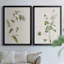 Toile encadrée de qualité supérieure Wispy Botanical I - prête à être accrochée-1622420741-1622420795