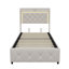 Upholstered Velvet Lift Up Storage Bed-1645596593