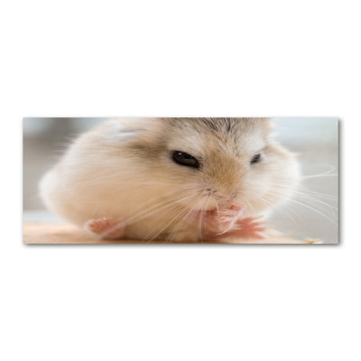 Hamster - No Frame Print on Canvas