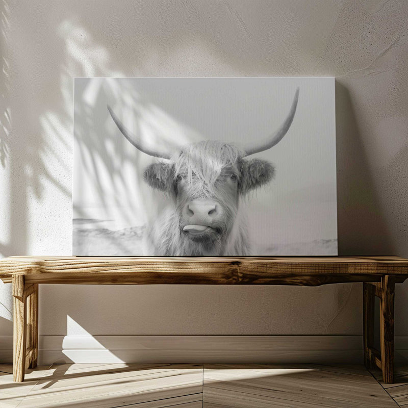 «Playful Highland Cow», reproduction sur toile, Toile tendue, H 12 po x l 18 po x P 1,25 po