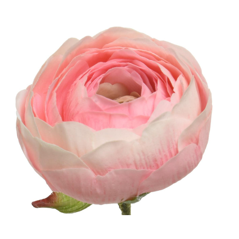 Annemasse Landscape & Nature Vase Filler