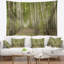 Tapisserie forêt dense de bouleaux en été-28491140
