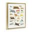 Art mural encadré, "Wild Animals Alphabet" par Irene Chan-189916534-194365536