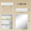W H Medicine Cabinet Mirror