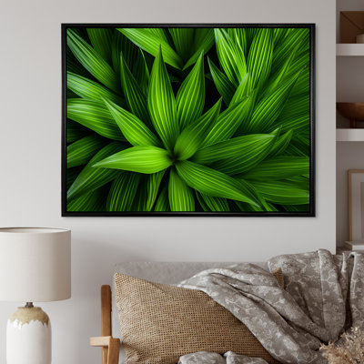 Greenerys Gaze sur impression sur toile