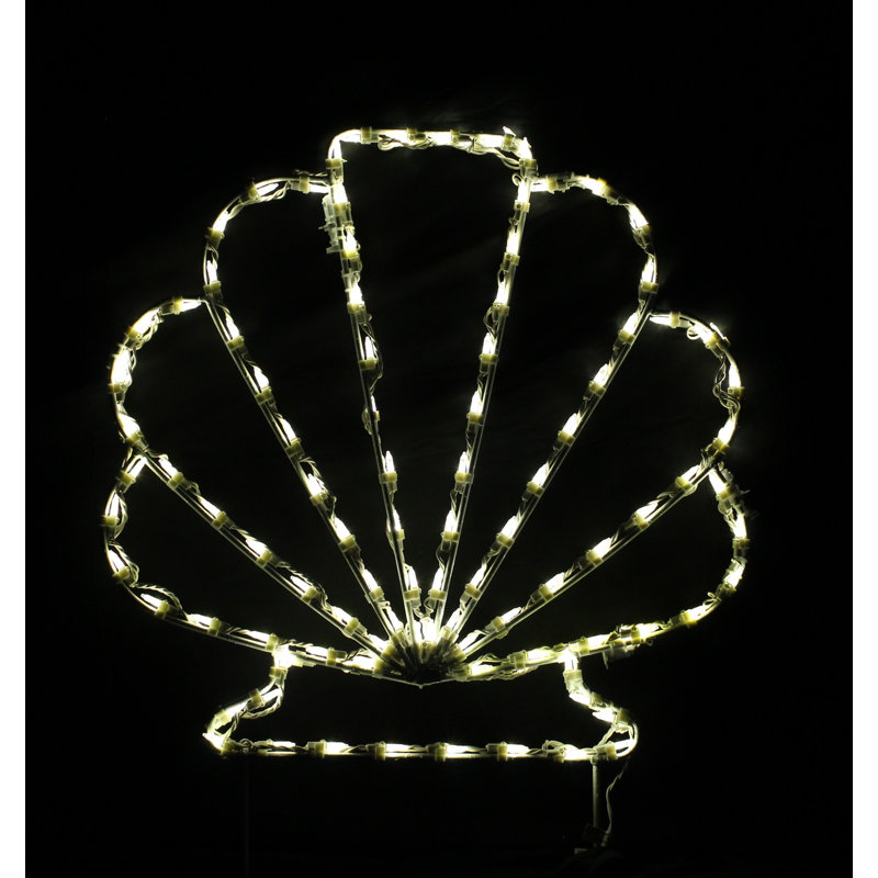 Fête festonnée illuminée nautique
