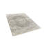 Bella Oriental Area Rug-39991595