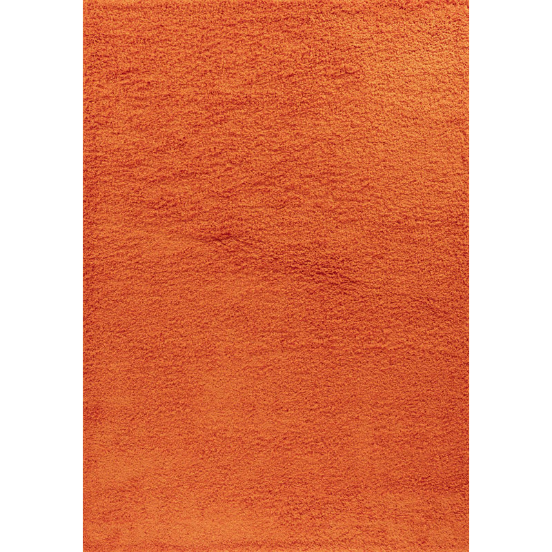 Esterly Orange Shaggy Rug, Rectangle 80 x 150cm