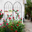 4 treillis de jardin en métal antirouille de 78,7 po x 19,7 po, support à fleurs pour lierre, paquet de 4 noir 78,7 po x 19,7 po, support à vignes,