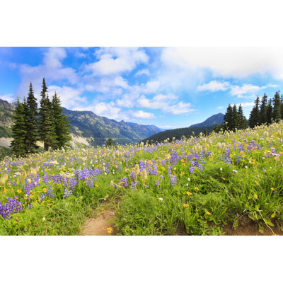 Picturesque Landscape - Wrapped Canvas Print