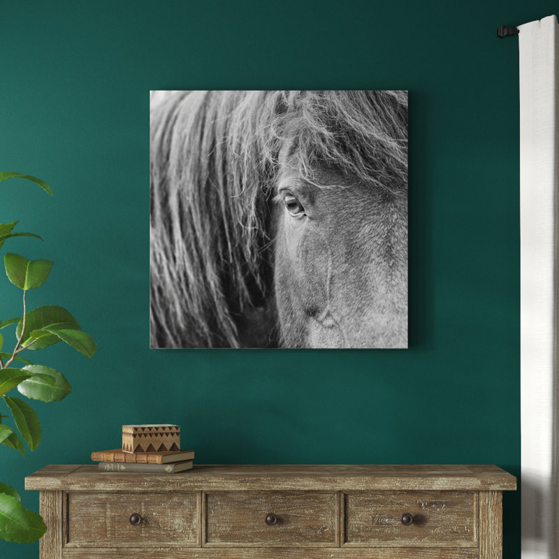 B&W Horses VI - Wrapped Canvas Print, 91cm H x 91cm W