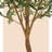 Artificial Olive Tree 7FT(84In) Tall Faux Silk Olive Trees