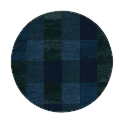 Checkered Blue Indoor and Outdoor Area Rug