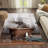 Exquisite Floral Design Non Woven Thin Type Printed Rug for Enhancing the Aesthetic Appeal of Your Living Spaces-748224395