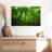 Alvord Basse-Terre Jungle-111834863