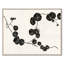 Nasturtium (var. 2) Print by Susan Hable-2141234956-2141234955