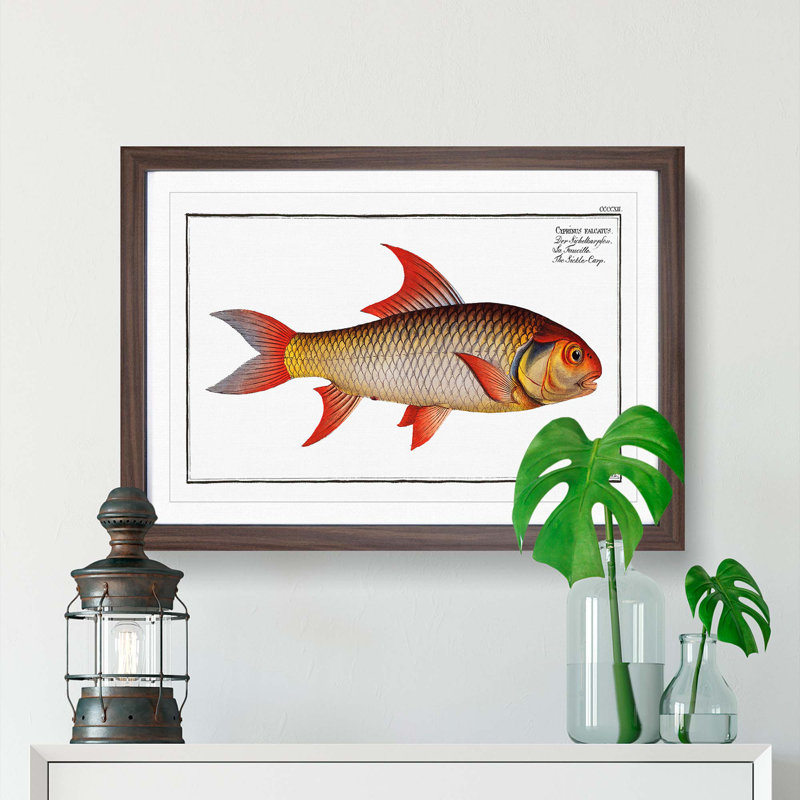 Sickle-Carp Fish by M.E. Bloch - Picture Frame Painting Print, 27cm H x 36cm W x 2cm D, Walnut Framed
