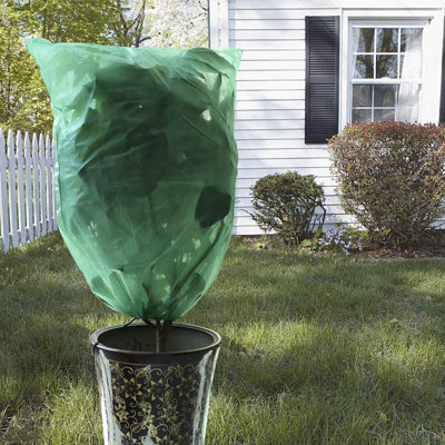 Plant Cover