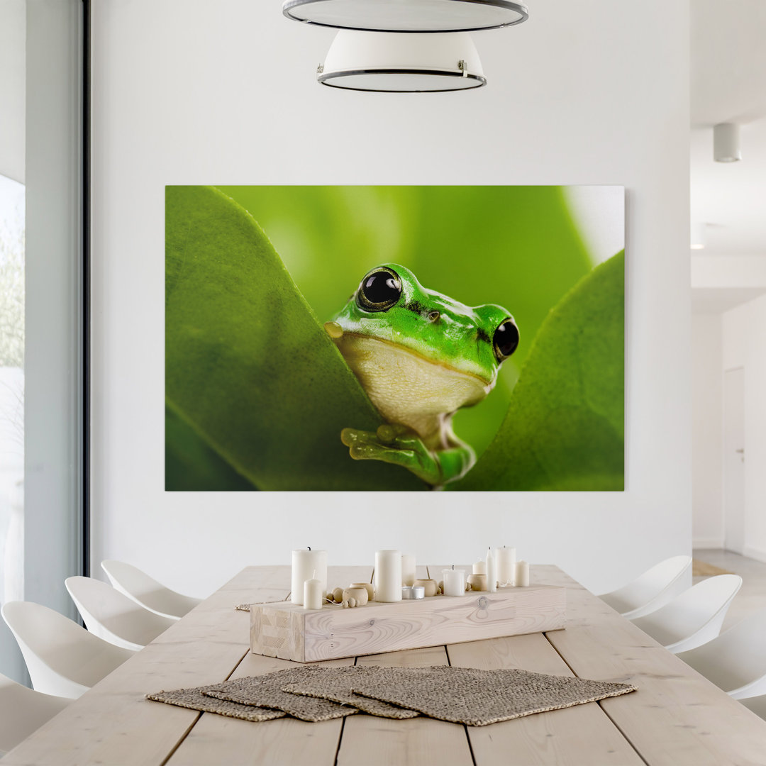 Leinwandbild Frog