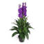 100cm Artificial Plant in Pot Liner-39150847