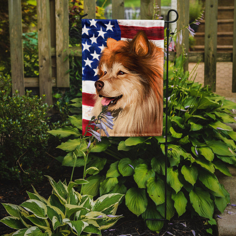 Polyester à 2 côtés 15 x 11 po drapeau de jardin, Chien finnois de Laponie