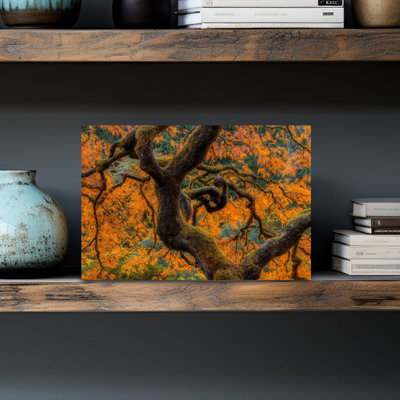 Golden Ratio, art mural contemporain abstrait