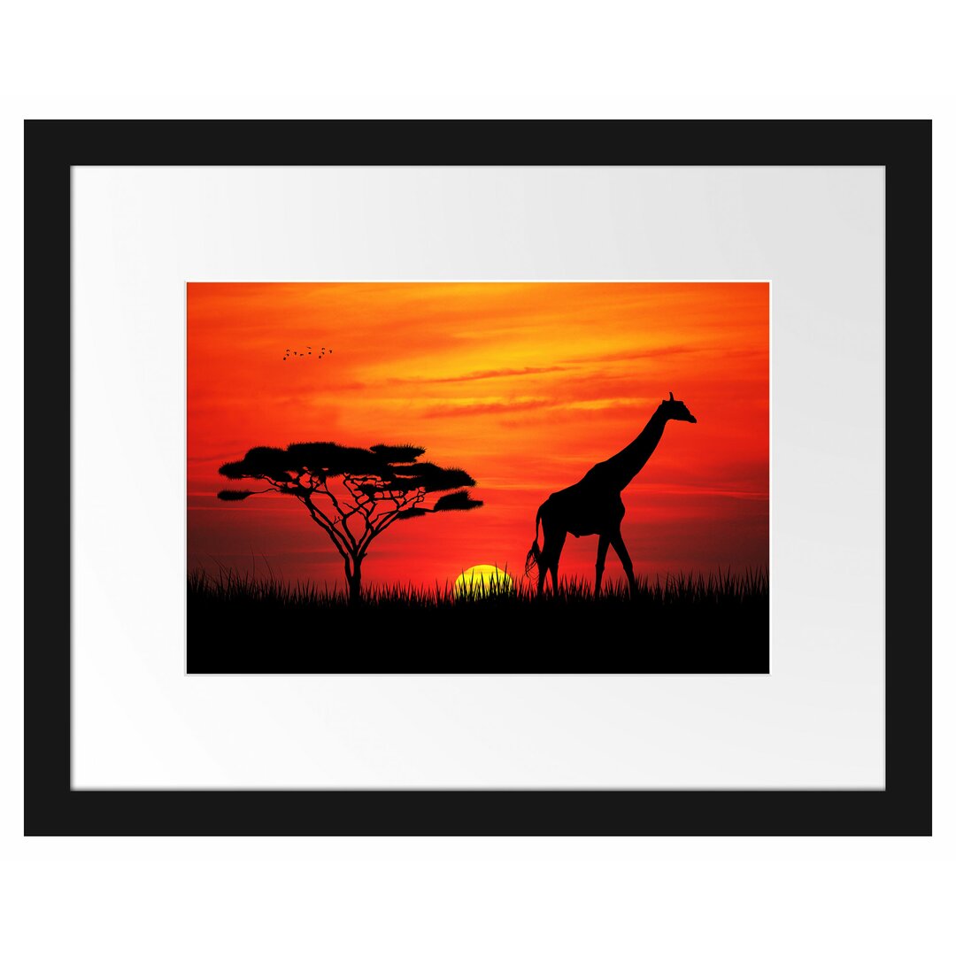 Gerahmtes Poster Giraffe im Sonnenuntergang