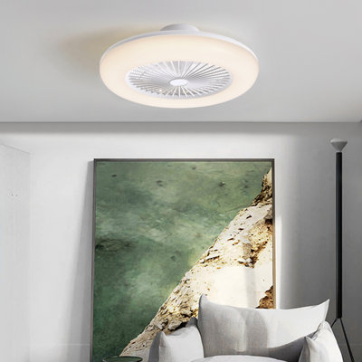 Ceiling Fan with LED Lights