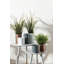 Stainless Steel Floor Votive Holder-30568384