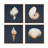 4-Piece Framed Canvas Wall Art Set