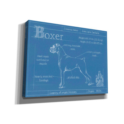 " Blueprint Boxer "