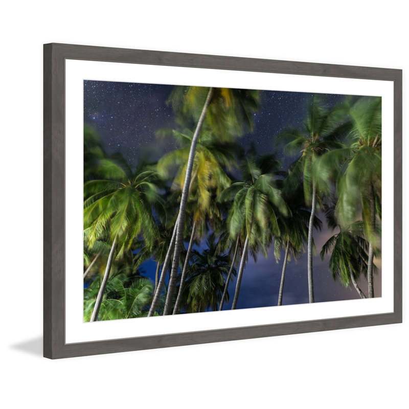 Palms at Night 1 Piece Single Picture Frame Wall Art, 61cm H x 91cm W