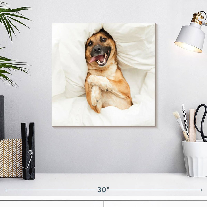 Crowle Happy Morning Dog, H 16 po x l 16 po