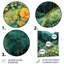«Green Mountain Summer Flower Meadows III - Landscape Mountains», art mural-1152772517-1152772514