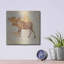 «Moose Study» par Studio Mousseau-21775714