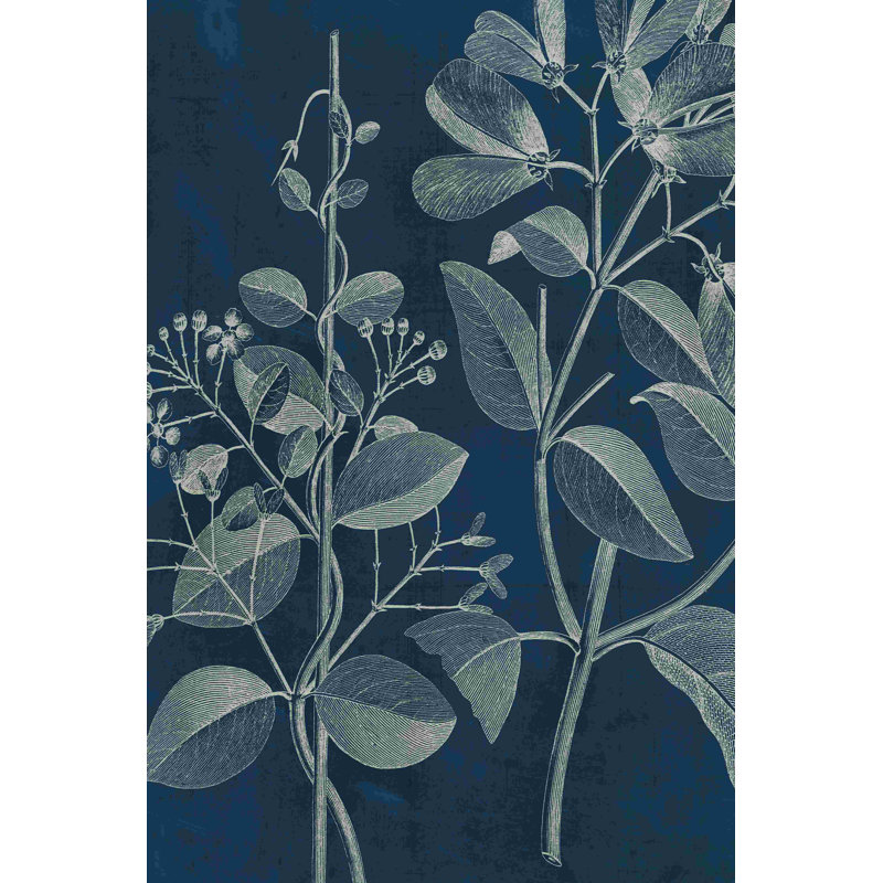 Modern Botany I by Vision Studio - Wrapped Canvas Painting, 18" H x 12" W