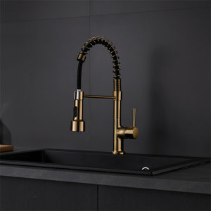 Pull Down Single Handle Kitchen Faucet with Accessories